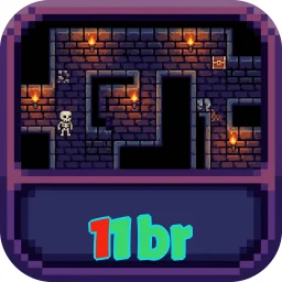 11br