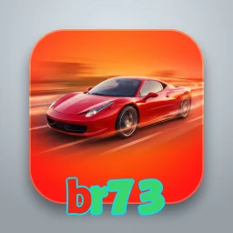 br73