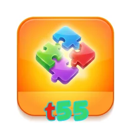 t55